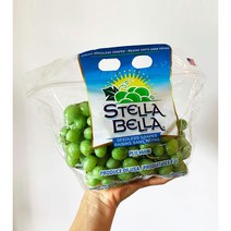[프레시푸드마켓] 청포도 수입포도 미국산포도 스텔라벨라 1kg 3kg 5kg 8kg, 청포도 5KG(5봉지)