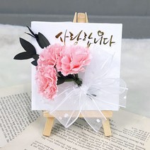 3송이 카네이션 캔버스 어버이날 스승의날 선물 DIY 학교 요양원, 핑크