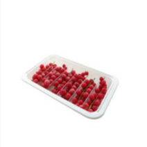 프랑스산 냉동 레드커런트 송이 125g