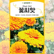 2023년 생산품 고급모음 꽃씨앗 일년생 다년생 야생화 사계절 꽃씨 종자, 191 헤어리베치20g