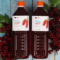 아이스 문경오미자청 1000mlX1개, 선택02_아이스오미자청 1000ml x 2개, 2개, 1000ml