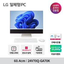 [한컴오피스 증정/업그레이드가능] LG 일체형PC 24V70Q-GA70K 윈도우11 [24인치/12세대i7/RAM 8GB/SSD 256GB], 8GB(기본), 756GB(총용량)