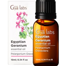 Gya Labs 피부 관리 위한 이집트 제라늄 에센셜 오일 - 스트레스 완화 및 수면 위한 제라늄 오일 - 아로마 테라피 위한 100% 순수 등급 - 10ml