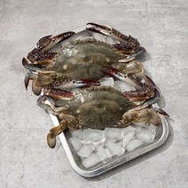 자연맛남 [산지직송] 국내산 진도 활 꽃게 3kg 10미내외(급냉/대사이즈), 1