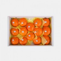 [초록자연] 레드향 5kg(11-13과) 제주 감귤, 상세페이지 참조, 상세페이지 참조