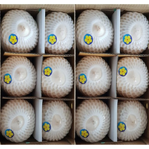 [프리미엄등급] 화이트 영코코넛(coconut) 1box (12과 3과), 12개