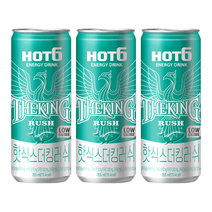 핫식스 더킹 러쉬 355ml, 10캔
