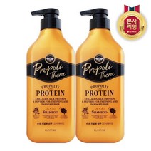 [LG생활건강] 엘라스틴 프로폴리테라 손상모발용 샴푸 500ml x 2개