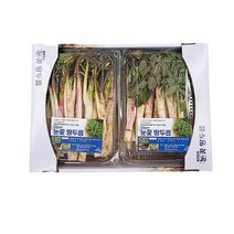 당일수확 강원도재배 땅두릅 두릅, 눈꽃 땅두릅 1kg(500g 2팩)