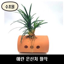 [수초몰] 애란 산란상 은신처 활착 / 초보 수초 구피 어항 물고기 금붕어 열대어, 3.원통산란상+애란