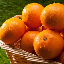 [팜쿡] 제주직송 타이백감귤 9kg(2S/소과), 단품