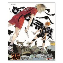 하이큐!! 36 | 대원씨아이(만화) + |안심포장| 빠른배송|