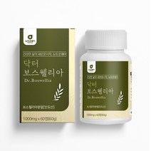 뉴드로웨이 보스웰리아 캡슐 보스웰리아가루 보스웰리산 65% AKBA KBA 우슬 유향나무 수액 관절 연골 닥터보스웰리아 효능 먹는법 60정, 2개