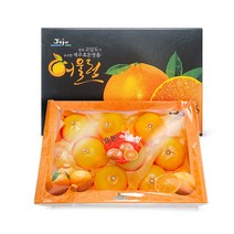제주 감귤 천혜향 레드향 한라봉 명절 설 선물 1.5Kg 3Kg, 천혜향 3Kg(12~16과)