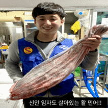 신안 임자도 민어회 (1접시~8kg), 6kg, 분리(오로시)