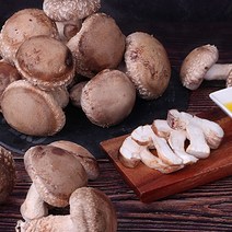 윤플러스 강원도 평창 송화고버섯 1kg 송고버섯 송화버섯 육삼고버섯, 송화고버섯(가정용) 1kg