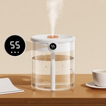 가습기 침실 사무실 물멍 불멍 무중력 대용량 초음파 안방, A1-Humidity Display