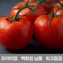 영화청과 국내산 토마토 10kg 프리미엄 백화점 남품 요리 즙 키우기 재배