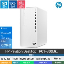 (당일발송) HP 파빌리온 TP01-3003KL 12세대 인텔 i5-12400/8GB/256GB/Win11Pro