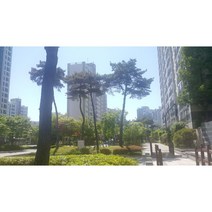 경기 화성시 능동 동탄푸른마을 모아미래도 아파트 환기시스템 공기청정기 H13등급 헤파필터 탈취복합형 필터
