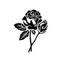 블랭코 스텐실도안708_장미(1), 상세 설명 참조