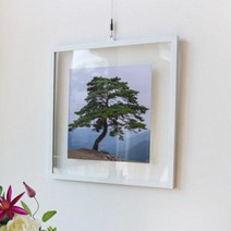 바보사랑 투명액자38CmX38Cm 건강과성공의소나무.꾸밈, 블랙