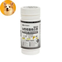비타민함유 분말형 강아지 관절영양제 푸들영양제 푸들관절영양제 애견
