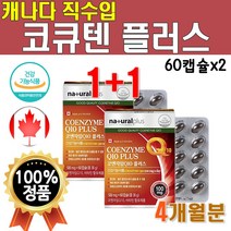 캐나다산 직수입 코큐텐 1박스 60캡슐 2개월분 CoQ10 코엔자임q10 100mg 코엔자임 Q텐 큐텐 비타민A 비타민씨 비타민E 비타비 영양제 플러스 시너지 높은 혈압 감소 도움, 2개(4개월분)