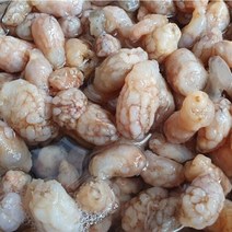 남해 오만둥이 1kg 제철 미더덕 만디, 1개