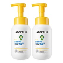 아토팜 키즈 포밍 핸드 워시 300ml, 2개