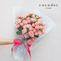 [코코도르팜]핑크 자나장미 50송이 꽃다발, 01_생화/자나 50송이 꽃다발