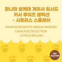(커피생두) 44 파나마 보케테 게이샤 워시드 카사 루이즈 셀렉션 - 시트러스 스플래쉬 1kg, 1개