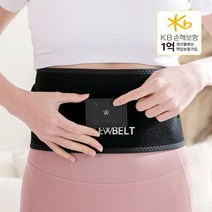 국내최초 임상실험받은 EMS 벨트 복근운동기와 다이어트 효능 인정, 빼벨트(빼줄겔2개 포함)