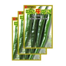 채소씨앗 - 고추씨앗 따고또따고(30립x3)