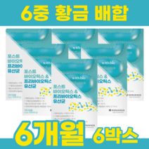 모유유산균 lgg유산균 프로바이오스틱 비타민D 아연 비피더스 비타민E 포스트바이오틱스