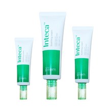 메이크프렘 인테카 수딩 크림 80ml 진정, 181ml, 1개