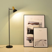 콜린퍼스 장스탠드 플로어 무드등 감성 조명 블랙+12w led 볼구 하얀빛, 색상