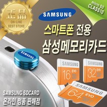 삼성전자 갤럭시s2sd메모리카드 64기가, 64GB