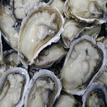 하프셀 통영굴 통영석화 반깐 하프굴 30 50 100미, 30미(2인)