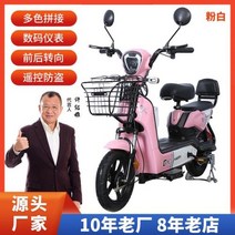 접이식 전동자전거 전기자전거 배달 렌탈 키트 폴딩 전기 성인 48v 이륜 2 인용 배터리 스쿠터 자전거, Double 색상 pink+48v20a Lead aci