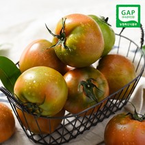 [자연맛남] GAP인증 부산 짭짤한 대저토마토 2.5kg (M), 1개