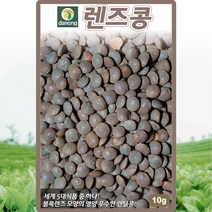 렌즈콩 씨앗 렌즈 콩씨 렌틸 종자 10g