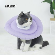 강블리 블링 넥카라 / 강아지 고양이 반려동물
