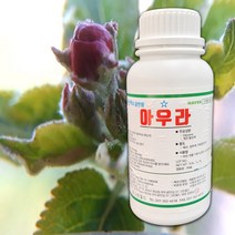 과일 식물왁스코팅 확산제 침투제 아우라 500ml