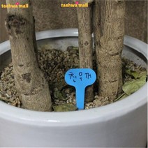 식물이름표 좋은글귀적기 상호호환성 우수한품질 화분이름표소