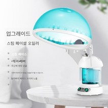 헤어스팀기 헤어케어 관리 지루성 두피염 트리트먼트 머리 얼굴 스팀기 미스트기, (2328a 업그레이드 모델)