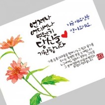 그레이스 엽서전도지_2-3 예수님을 만나보세요(데이지), 3000매