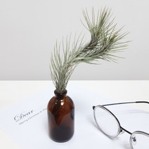 태양의정원 공기식물 푼키니아 + 앤틱미니화병