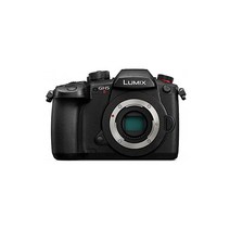 파나소닉 미러리스 일안 카메라 루믹스 GH5M2 바디 블랙 DC-GH5M2