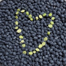 국내산 무농약 서리태 1kg/4kg 친환경 검정콩 전북 진안 농산물